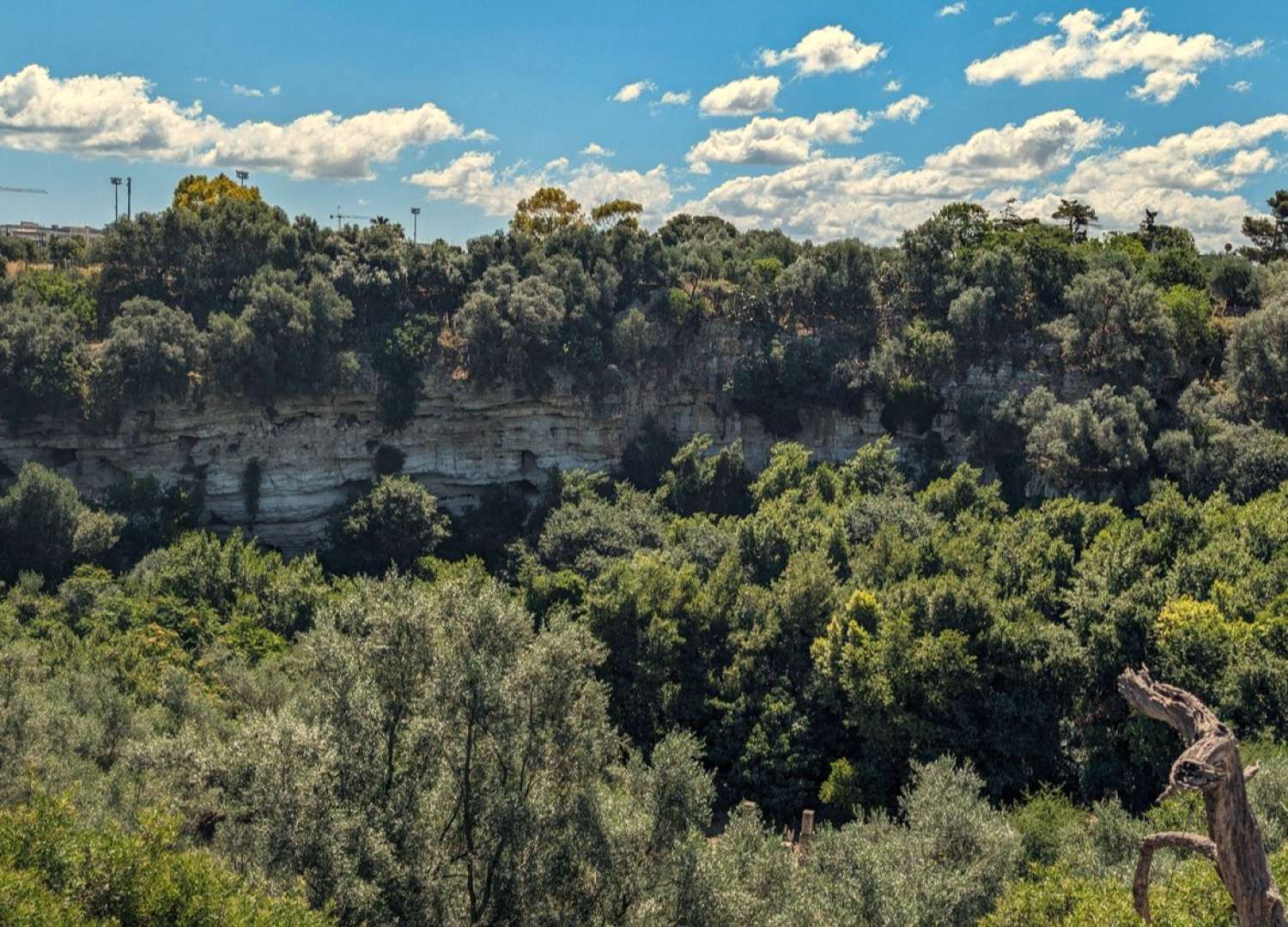 Natura selvaggia, grotte, conventi e nitriere reali: � il mondo nascosto del Pulo di Molfetta